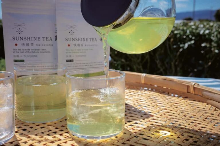 From Tokyo: Kaisei Tea Leaf Picking & Farm-to-Table Lunch - Transportation and Practicalities