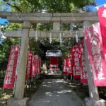 From Tokyo: Kamakura Daibutsu Trail & Tour to Great Buddha - The Mystical Zeniarai Shrine Experience