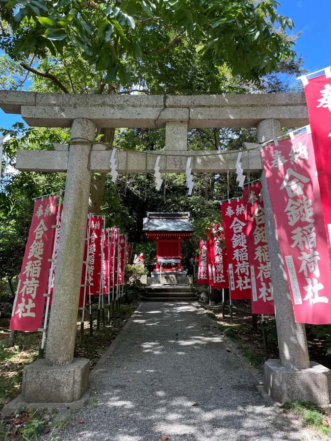 From Tokyo: Kamakura Daibutsu Trail & Tour to Great Buddha - The Mystical Zeniarai Shrine Experience