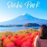 From Tokyo: Mount Fuji and Hakone Customizable Private Tour - Pricing and Value