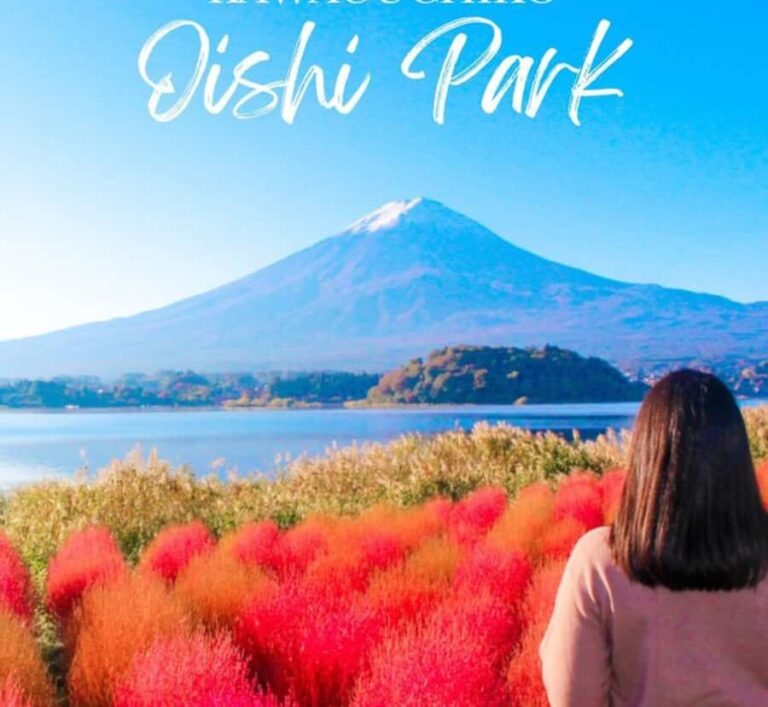 From Tokyo: Mount Fuji and Hakone Customizable Private Tour - Pricing and Value