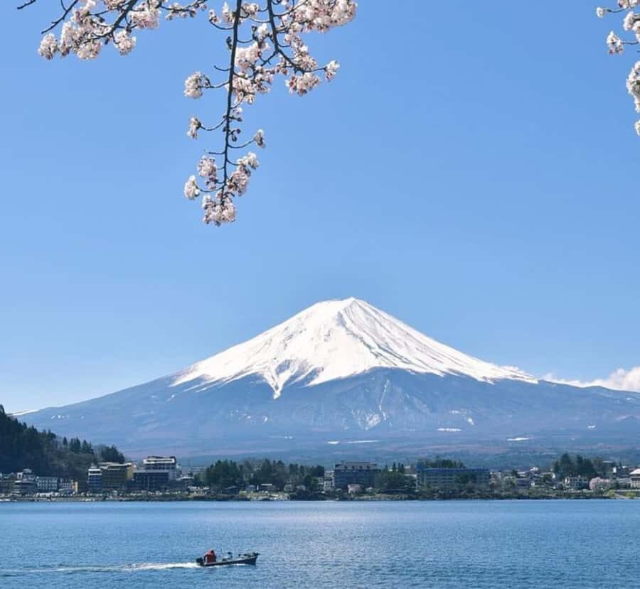 From Tokyo: Mount Fuji Customizable Private Tour with Guide - Transportation and Logistics