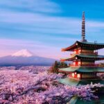 From Tokyo: Mount Fuji Customized Tour With Guide - Transport, Timing, and Group Size