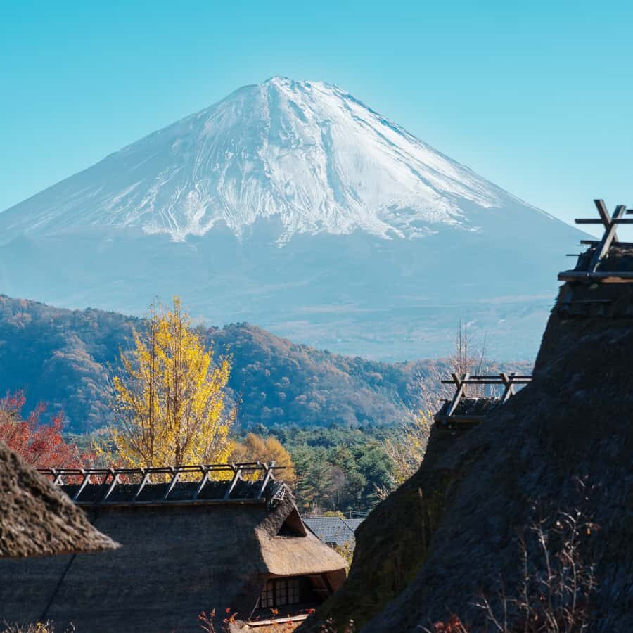 From Tokyo: Mount Fuji Five Lakes Private Full Day Tour - Exploring the Itinerary in Detail