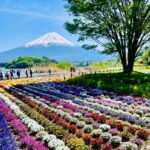 From Tokyo: Mount Fuji Full Day Customizable Private Tour - The Transportation & Flexibility