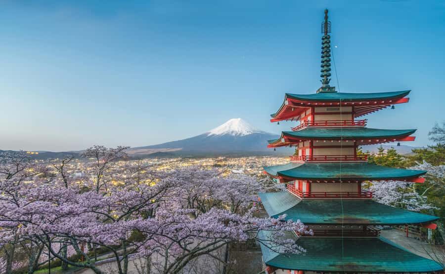 From Tokyo: Mount Fuji Full-Day Customizable & Private Tour - Who Will Love This Tour?