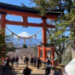 From Tokyo: Mount Fuji Full Day Customizable Tour With Guide - Who Would Love This Tour?