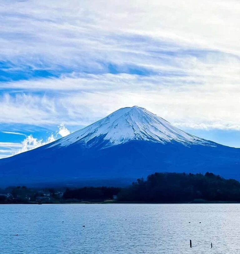 From Tokyo: Mount Fuji Full Day Customize Private Tour - Detailed Review of the Mount Fuji Private Tour