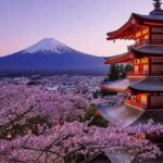 From Tokyo: Mount Fuji Full Day Customized Private Tour - The Value of a Private, Customizable Tour