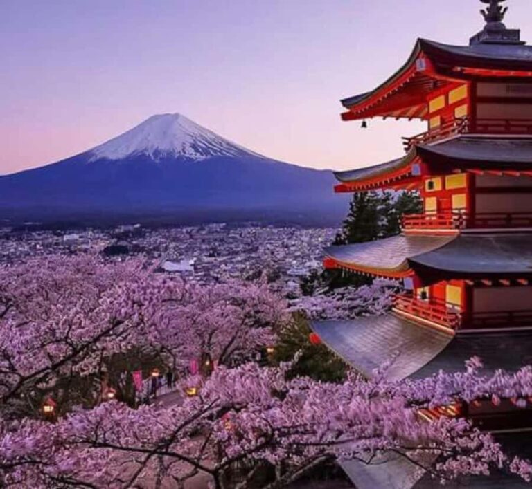 From Tokyo: Mount Fuji Full Day Customized Private Tour - The Value of a Private, Customizable Tour