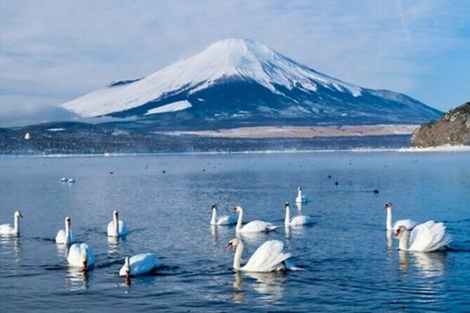From Tokyo Mount Fuji Full Day Shared Tour - FAQ