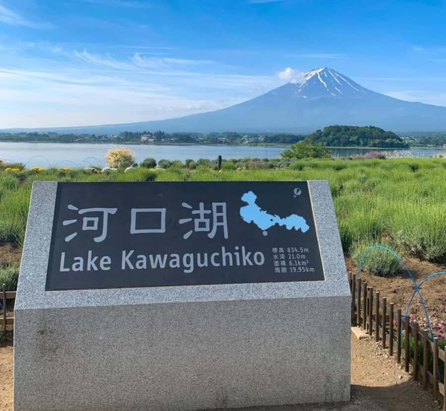 From Tokyo: Mount Fuji & Hakone Full Day Private Tour - What to Bring and Considerations