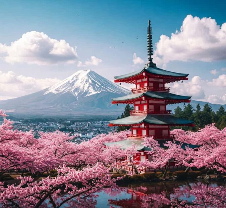 From Tokyo: Mount Fuji & Hakone Private Customizable Tour - A Deep Dive into the Tour Itinerary