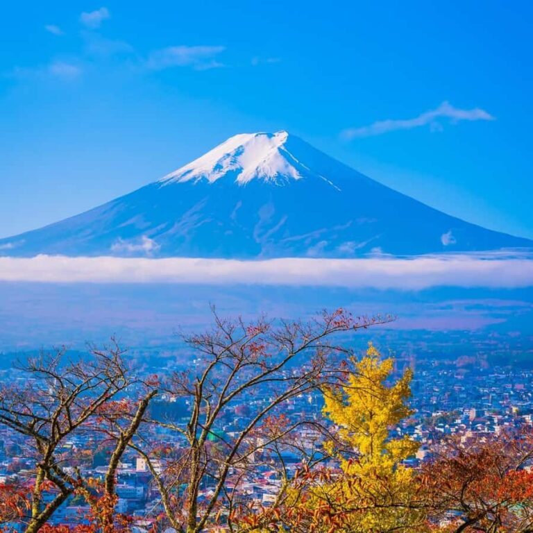 From Tokyo: Mount Fuji Highlight Full Day Private Tour - Why This Tour Offers Great Value