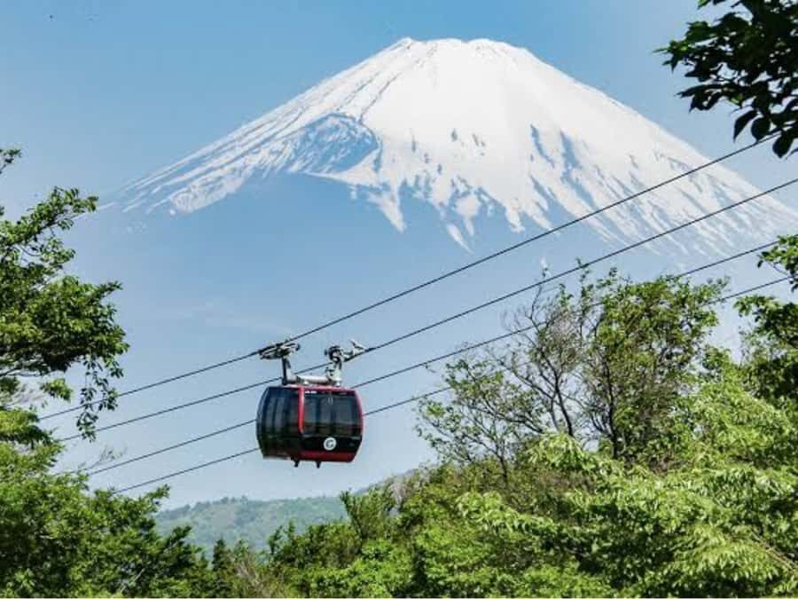 From Tokyo: Mount Fuji Private Customizable Tour with Guide - Transportation & Timing – Why It Matters