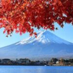 From Tokyo: Mount Fuji Private Day Tour With English Guide - A Deep Dive into What This Tour Offers