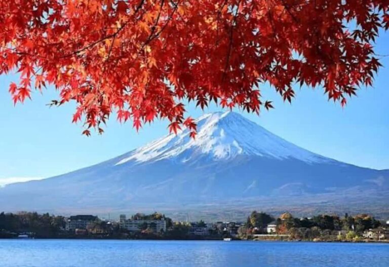 From Tokyo: Mount Fuji Private Day Tour With English Guide - A Deep Dive into What This Tour Offers