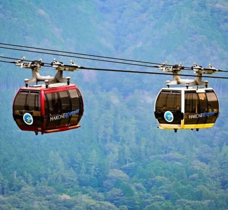 From Tokyo: Mount Fuji Private Tour with Driver-Guide - The Practicalities: Transportation, Timing, and Flexibility