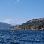 From Tokyo: Mount Fuji Private Tour with English Driver - Who Should Consider This Tour?