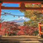 From Tokyo: Mount Fuji Private Tour with English Guide - The Practical Details