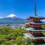 From Tokyo: Mount Fuji Private Tour With English Guide - Practical Details and Value