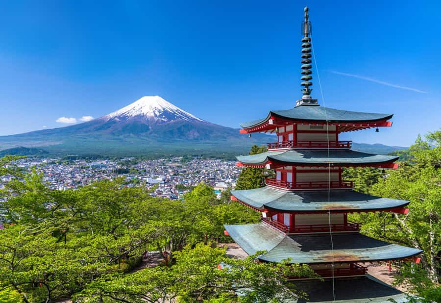 From Tokyo: Mount Fuji Private Tour With English Guide - Practical Details and Value