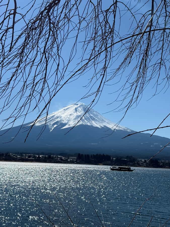From Tokyo : Mount Fuji Private Tour with English Guide - Detailed Itinerary Breakdown
