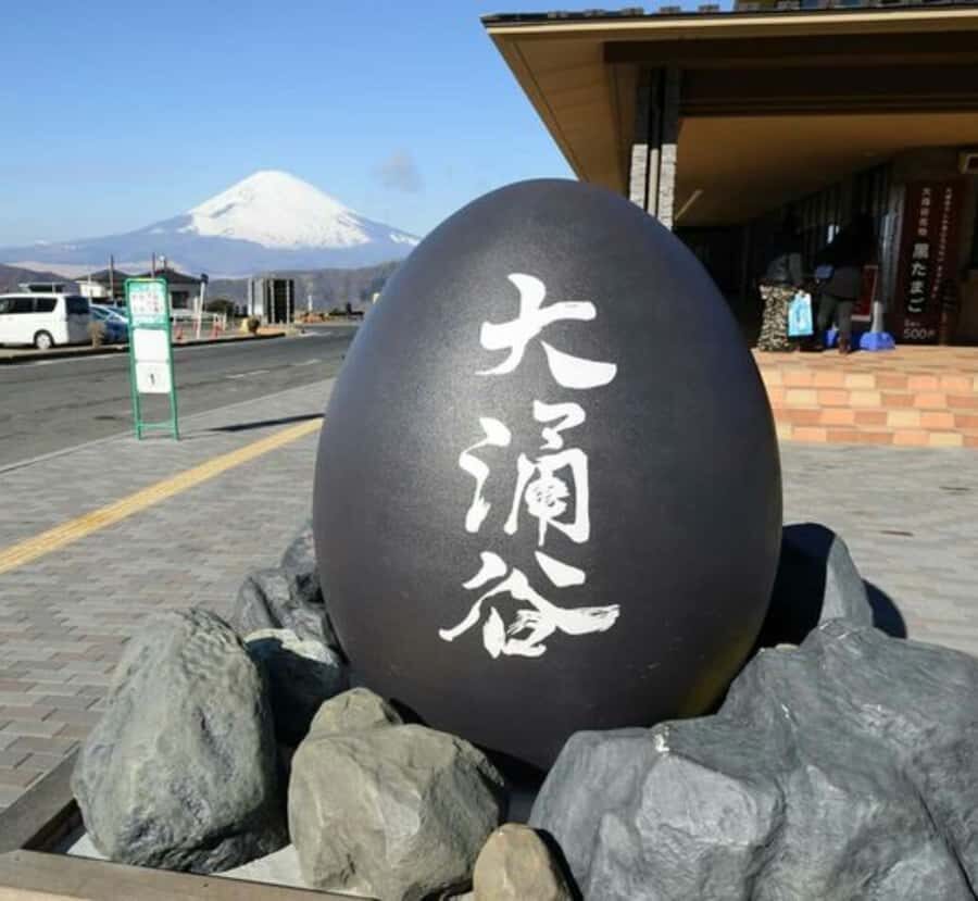 From Tokyo: Mount Fuji Private Tour with English Guide - Who Will Love This Tour?