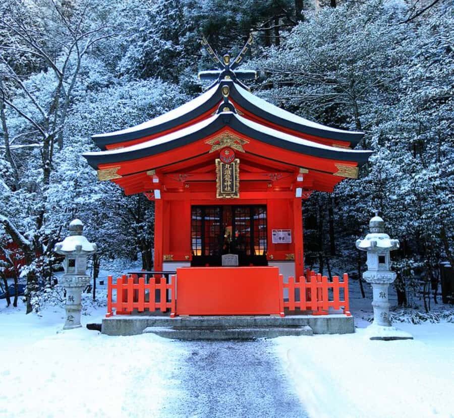 From Tokyo: Mount Fuji Private Tour with English Guide - FAQ