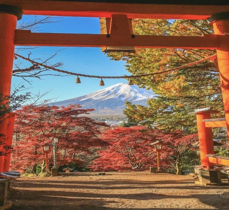 From Tokyo: Mount Fuji Private Tour with English Guide - The Practical Details