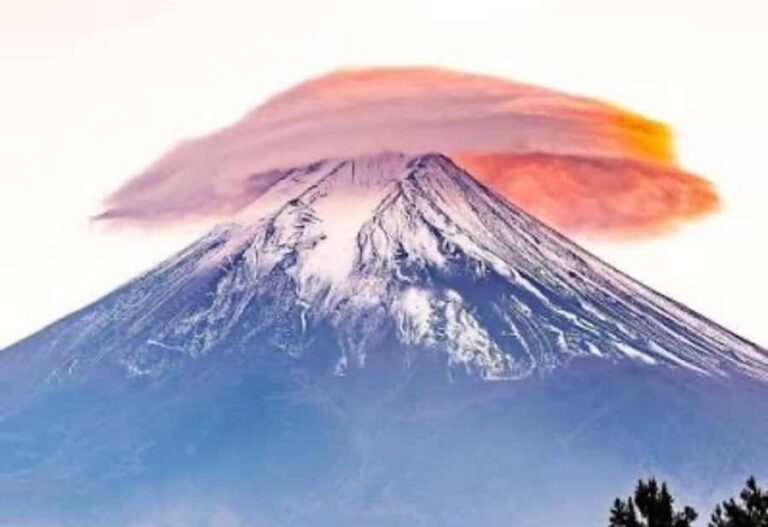 From Tokyo : Mount Fuji Tour With English Guide CUSTOMIZABLE - Practical Details: What to Know Before You Go