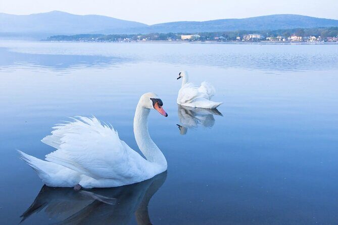 From Tokyo: Mt. Fuji 6 Attractions: Lake Kawaguchi, Oshino Hakkai - Who Is This Tour Best For?