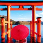 From Tokyo: Mt. Fuji Cruise & Hakone Ropeway Day Trip - What the Reviews Say