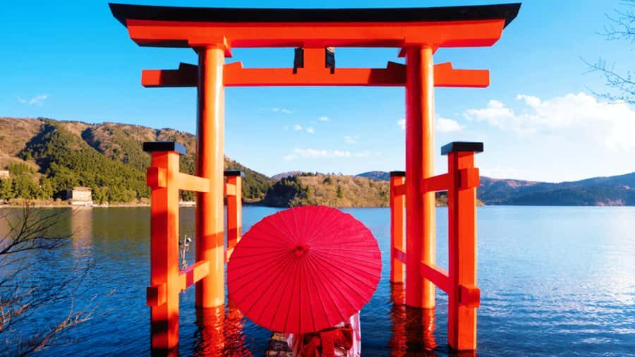 From Tokyo: Mt. Fuji Cruise & Hakone Ropeway Day Trip - What the Reviews Say