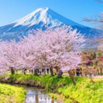 From Tokyo: Mt. Fuji Day Trip - Pagoda, Lake & Village - Who Will Love This Tour?