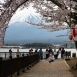 From Tokyo Mt Fuji Hakone Private Customizable Day By Guide - Who Would Love This Tour?