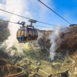 From Tokyo: Mt. Fuji One-Day Private and Customizable Tour - Transportation and Flexibility