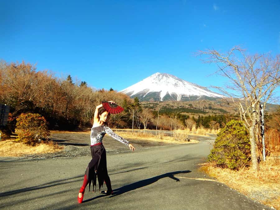 From Tokyo Mt. Fuji Private Tour In Prado Fully Adjustable - The Itinerary Breakdown: What to Expect