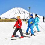 From Tokyo: Mt. Fuji Skiing And Onsen Experience 1-Day Tour - An In-Depth Look at the Tour Experience