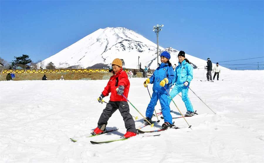 From Tokyo: Mt. Fuji Skiing And Onsen Experience 1-Day Tour - An In-Depth Look at the Tour Experience