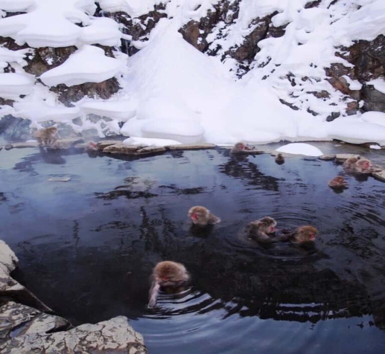 From Tokyo: Nagano Private Tour with English-Speaking Driver - Final Thoughts: Is It Worth It?