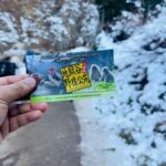 From Tokyo & Nagano Snow Monkeys Park Customized Day Tour - A Closer Look at the Itinerary