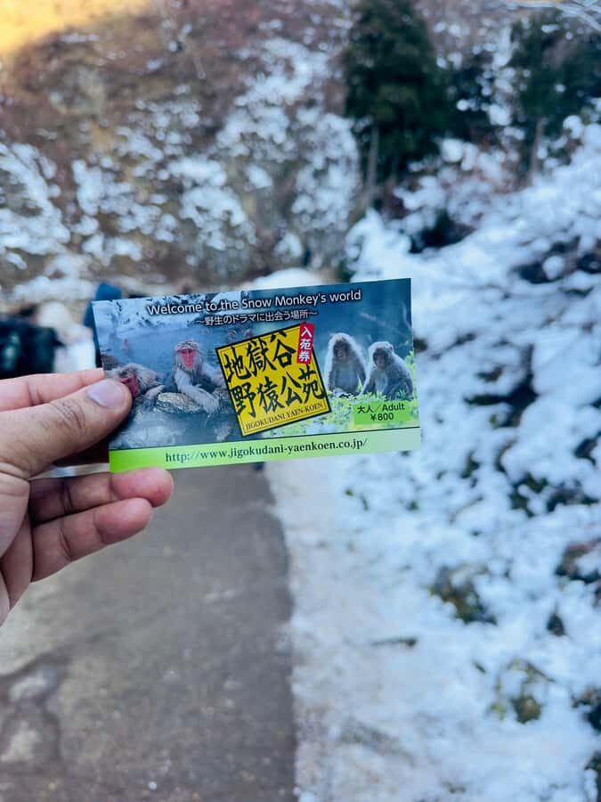 From Tokyo & Nagano Snow Monkeys Park Customized Day Tour - A Closer Look at the Itinerary