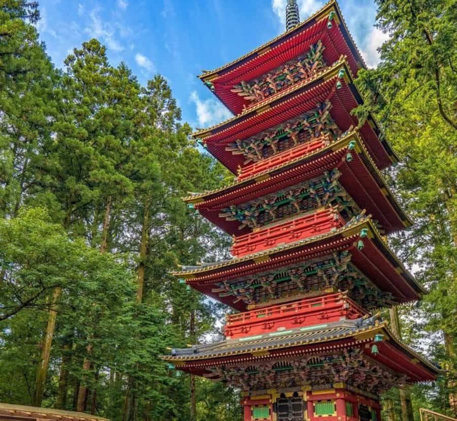 From Tokyo: Nikko Full Day Customized Private Tour - Highlights of the Itinerary