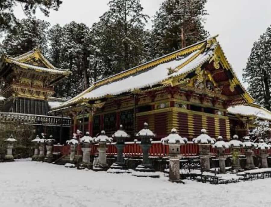 From Tokyo: Nikko Full Day Private Customizable Private Tour - Exploring the Nikko Experience