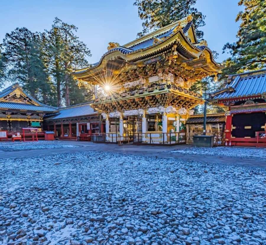 From Tokyo: Nikko Full Day Private Customizable Tour - The Ultimate Guide to the Nikko Private Day Tour