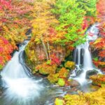 From Tokyo: Nikko Full Day Private Tour with English Guide - Final Thoughts: Is It Worth It?