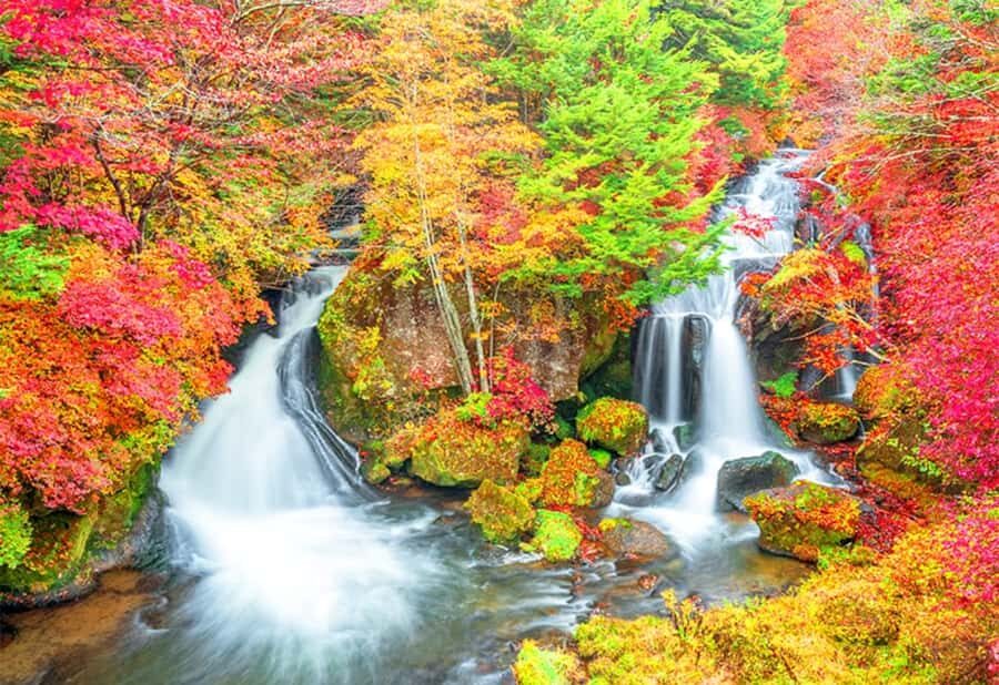 From Tokyo: Nikko Full Day Private Tour with English Guide - Final Thoughts: Is It Worth It?