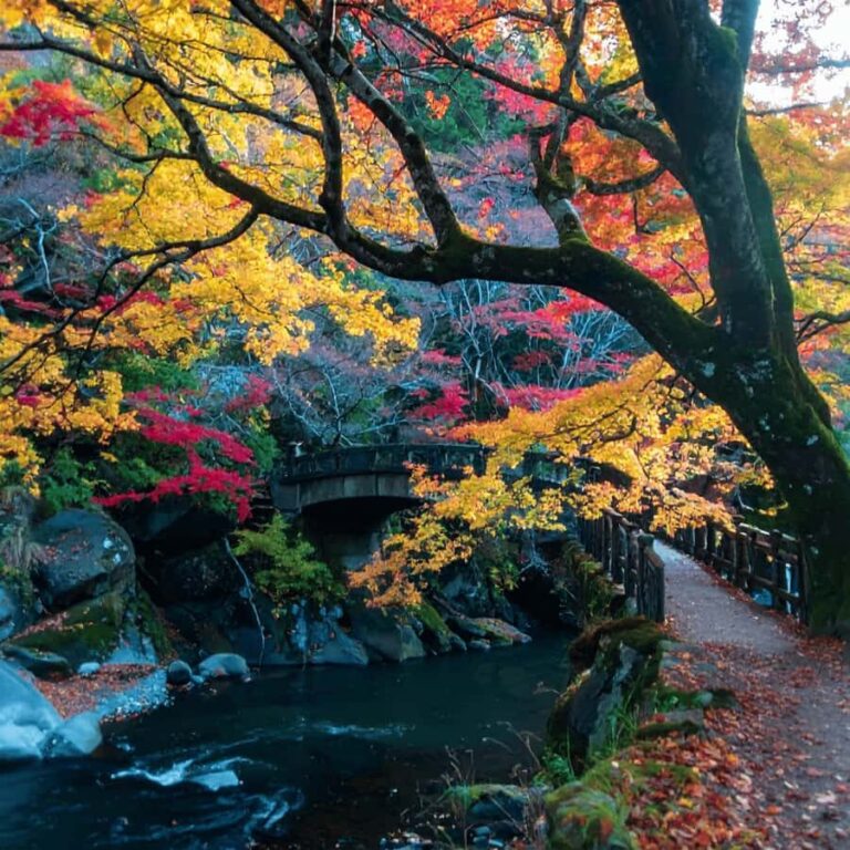 From Tokyo Nikko Lake Chuzenji & Toshogu Temple, Kegon Falls - The Highlights of Each Major Stop