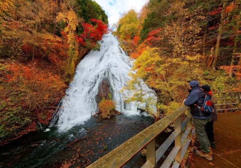 From Tokyo: Nikko One-Day Private Tour - Experience Overview